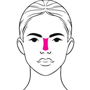 Nose Filler