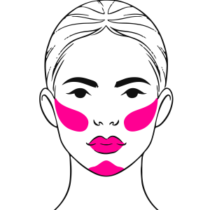 Perfect Contour Trio